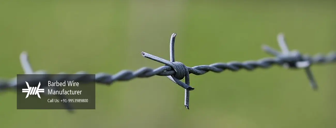 Barbed Wire