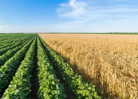 Agricultural-Site